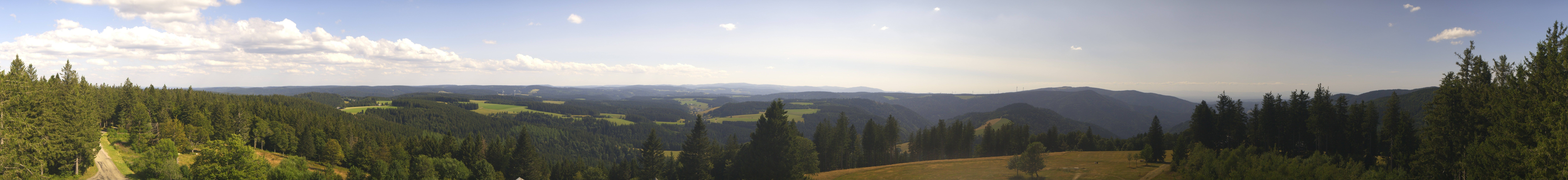 Archiv Foto Webcam Schwarzwald - Brendturm