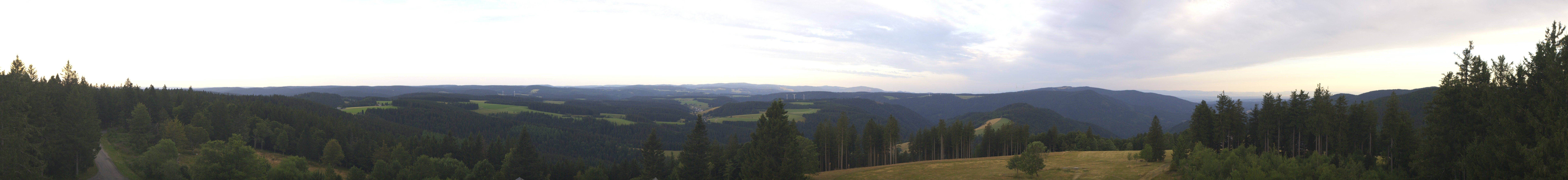 Archiv Foto Webcam Schwarzwald - Brendturm