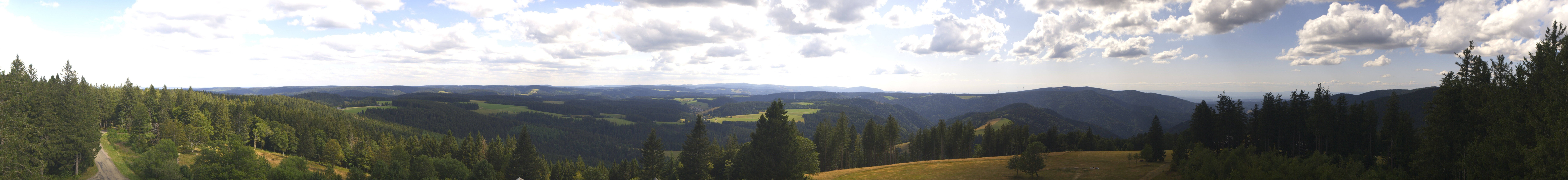 Archiv Foto Webcam Schwarzwald - Brendturm