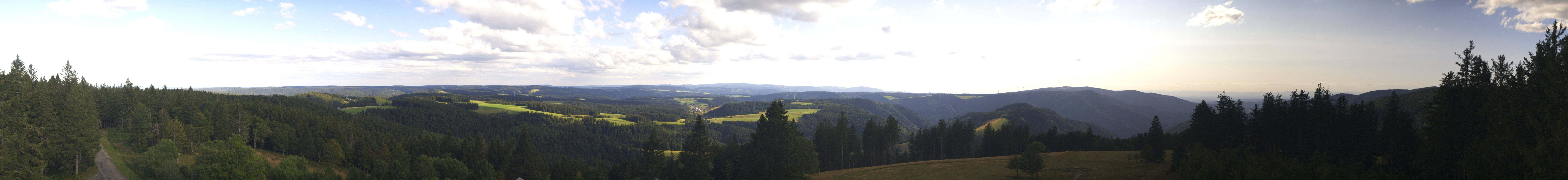Archiv Foto Webcam Schwarzwald - Brendturm