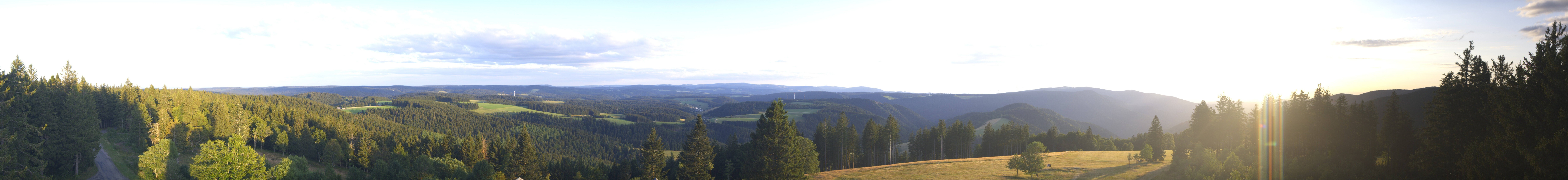 Archiv Foto Webcam Schwarzwald - Brendturm