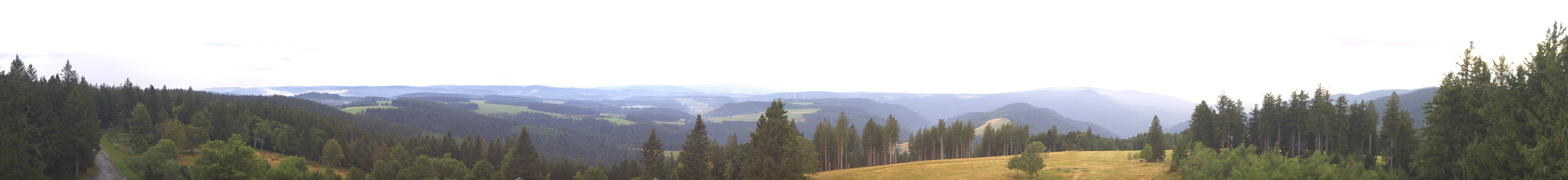 Archiv Foto Webcam Schwarzwald - Brendturm
