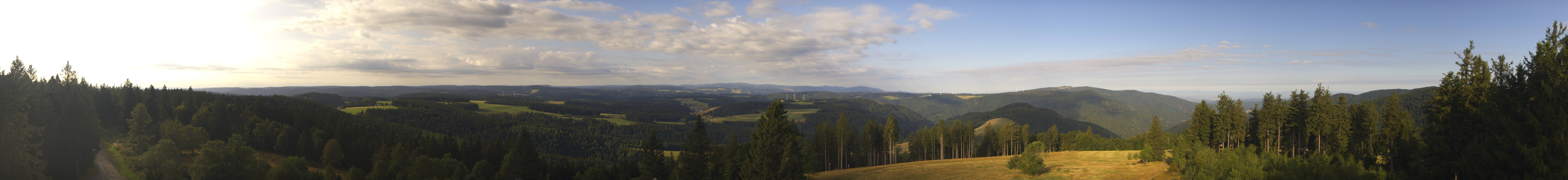 Archiv Foto Webcam Schwarzwald - Brendturm