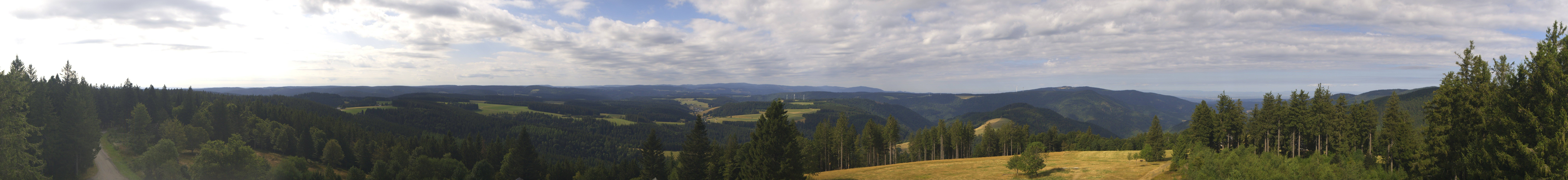 Archiv Foto Webcam Schwarzwald - Brendturm