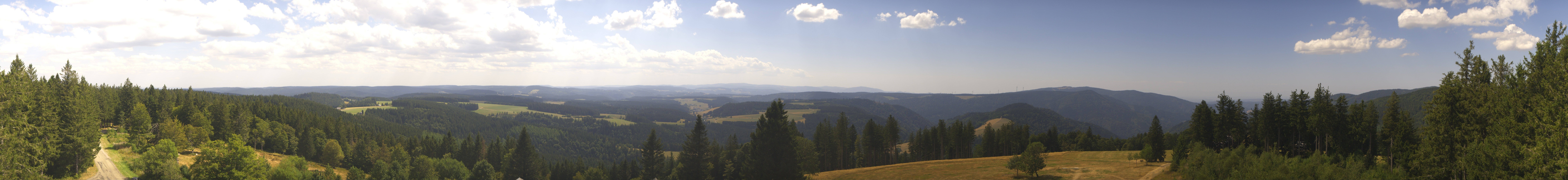 Archiv Foto Webcam Schwarzwald - Brendturm