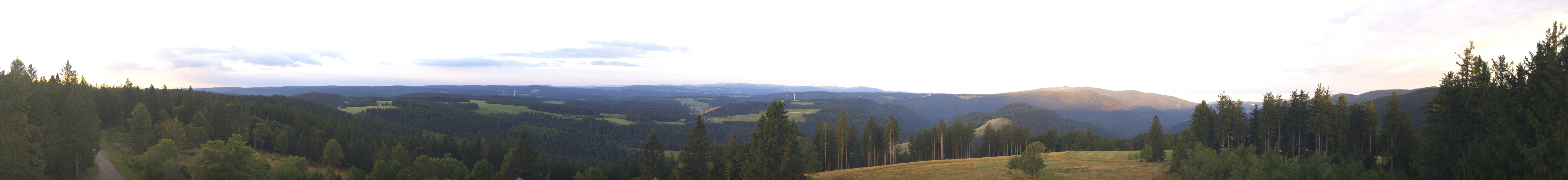 Archiv Foto Webcam Schwarzwald - Brendturm