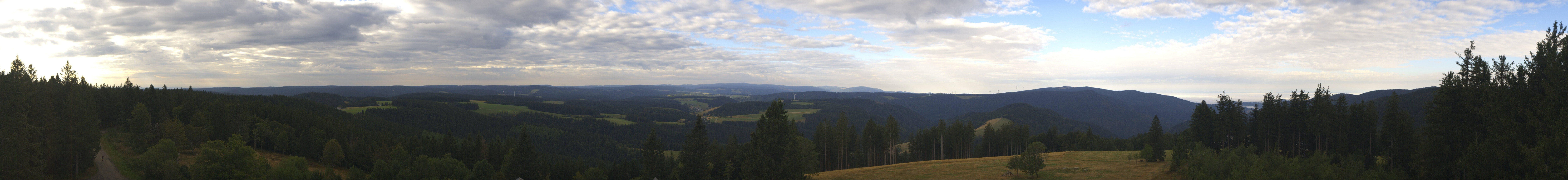 Archiv Foto Webcam Schwarzwald - Brendturm
