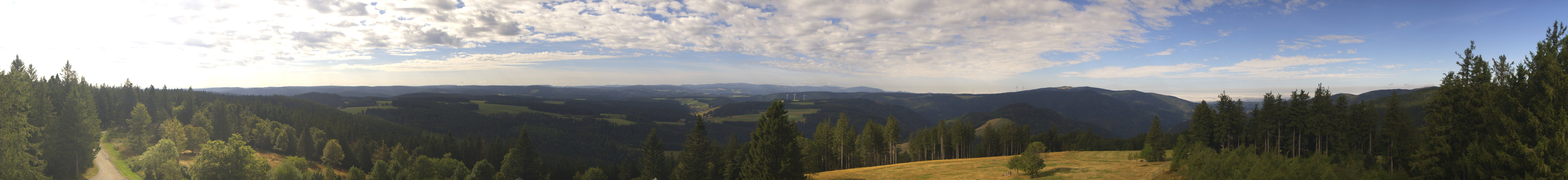 Archiv Foto Webcam Schwarzwald - Brendturm