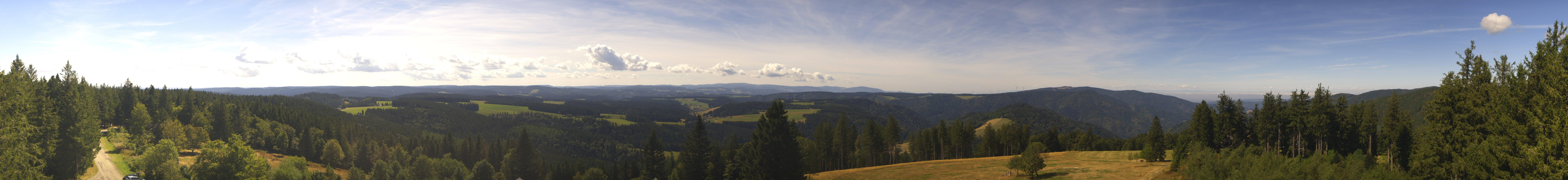Archiv Foto Webcam Schwarzwald - Brendturm