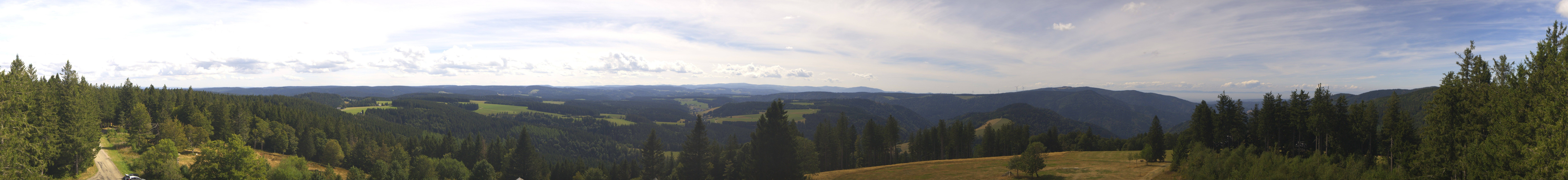 Archiv Foto Webcam Schwarzwald - Brendturm