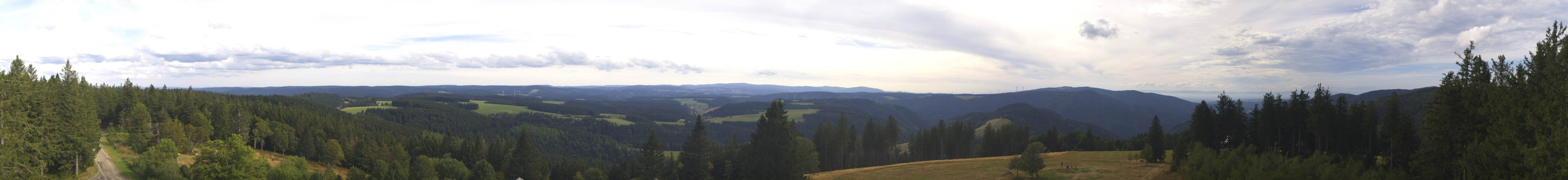 Archiv Foto Webcam Schwarzwald - Brendturm