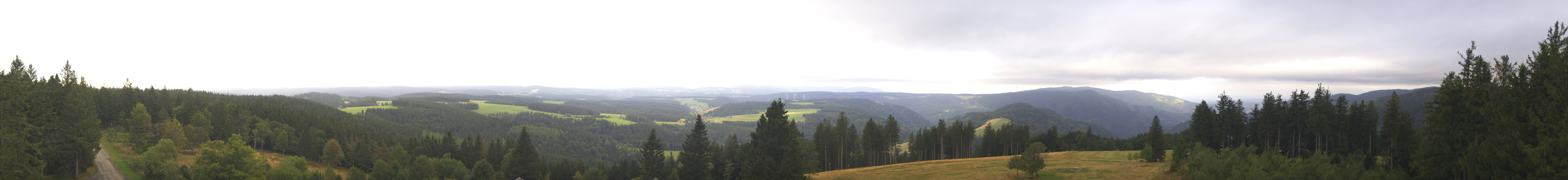 Archiv Foto Webcam Schwarzwald - Brendturm