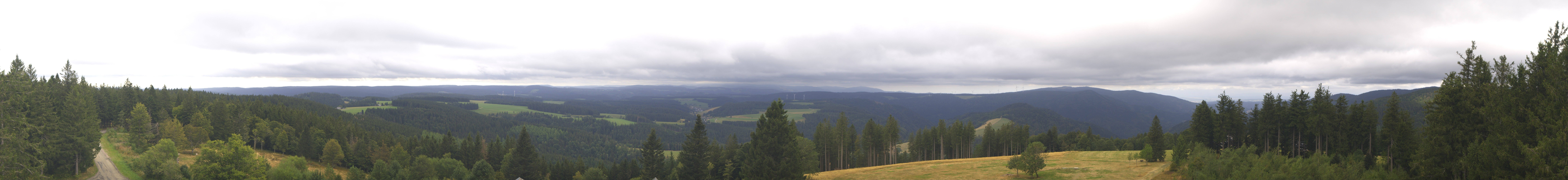 Archiv Foto Webcam Schwarzwald - Brendturm