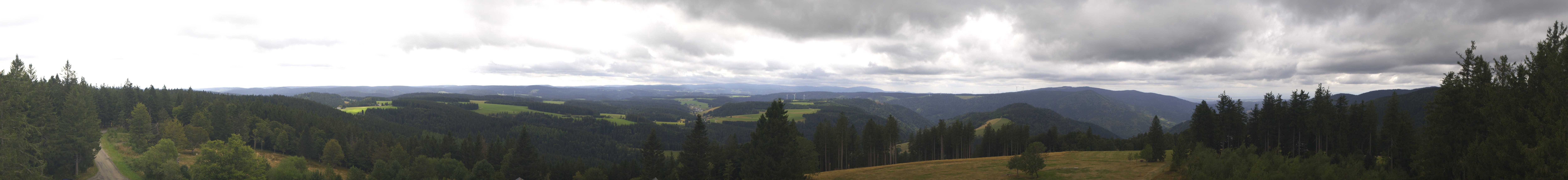 Archiv Foto Webcam Schwarzwald - Brendturm