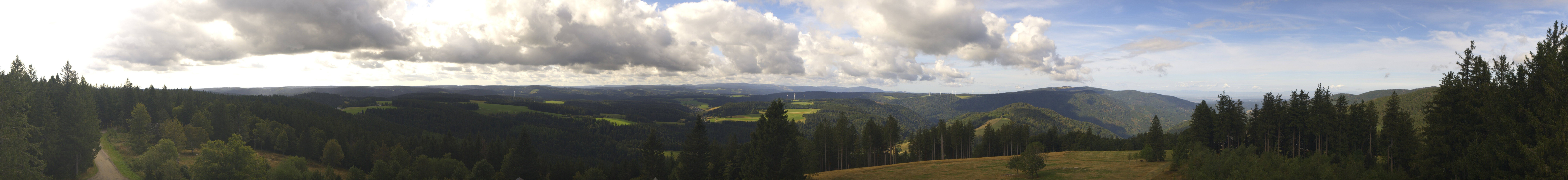 Archiv Foto Webcam Schwarzwald - Brendturm