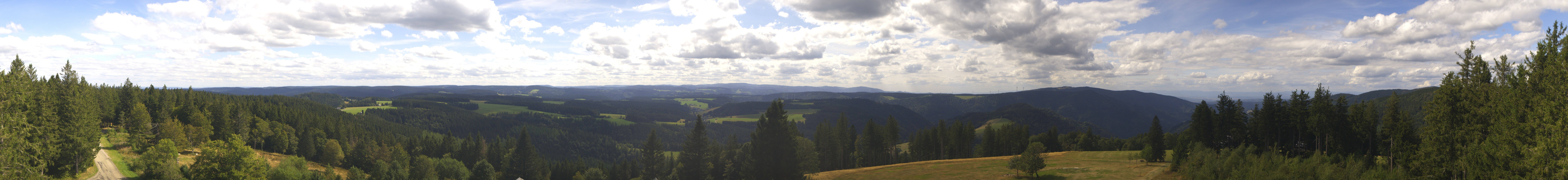 Archiv Foto Webcam Schwarzwald - Brendturm