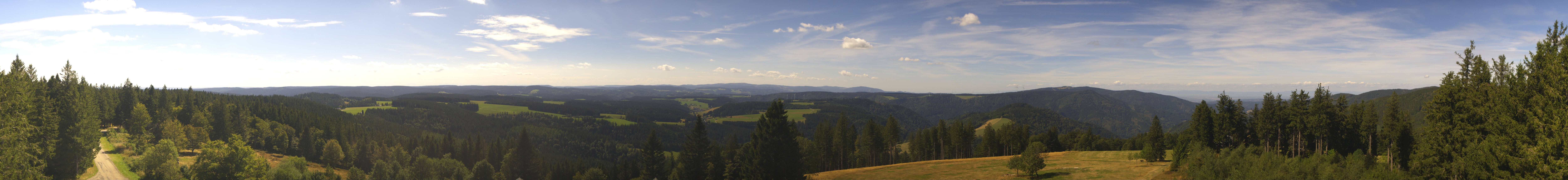 Archiv Foto Webcam Schwarzwald - Brendturm