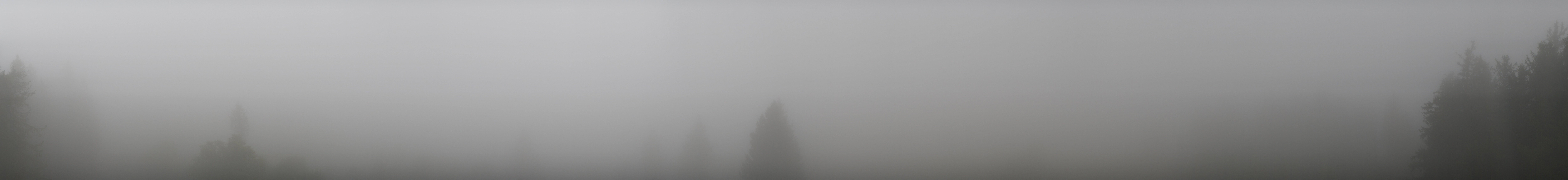 Archiv Foto Webcam Schwarzwald - Brendturm