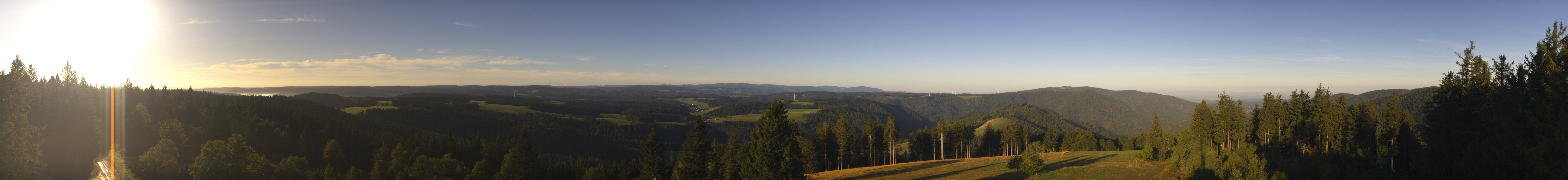 Archiv Foto Webcam Schwarzwald - Brendturm