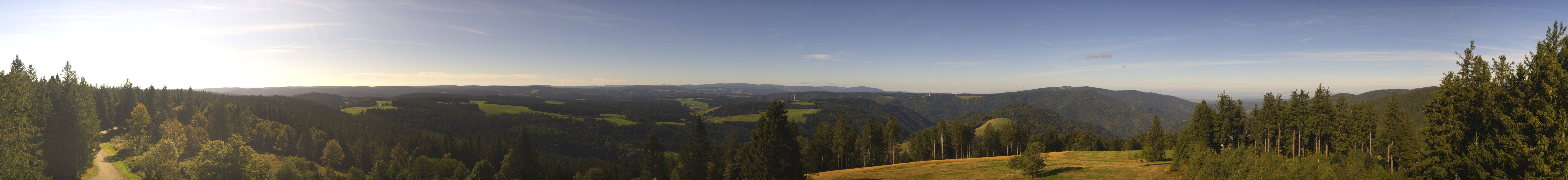 Archiv Foto Webcam Schwarzwald - Brendturm