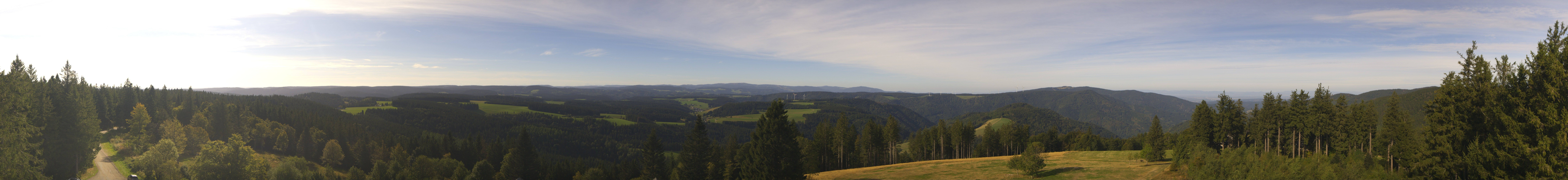 Archiv Foto Webcam Schwarzwald - Brendturm