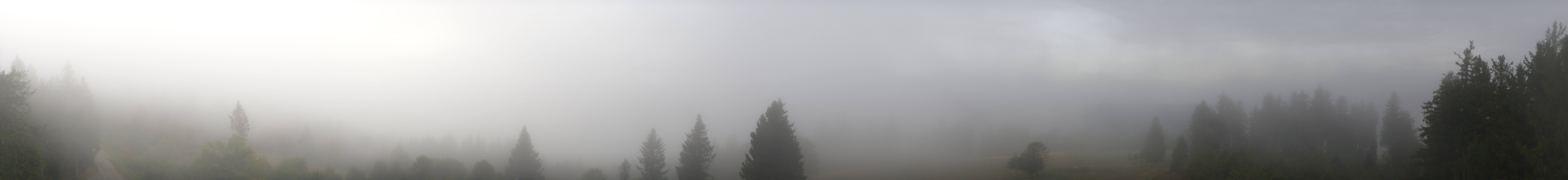 Archiv Foto Webcam Schwarzwald - Brendturm