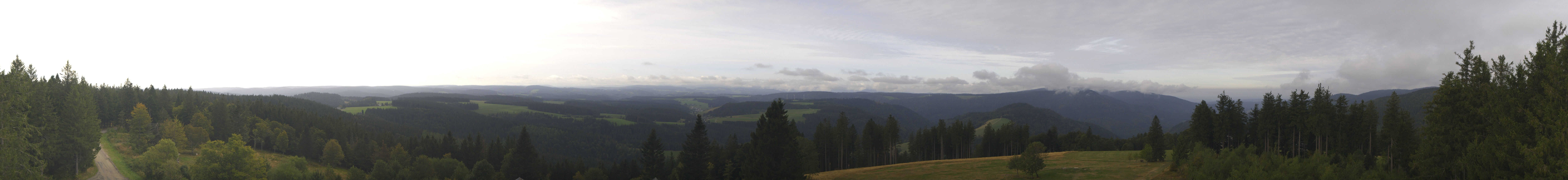 Archiv Foto Webcam Schwarzwald - Brendturm