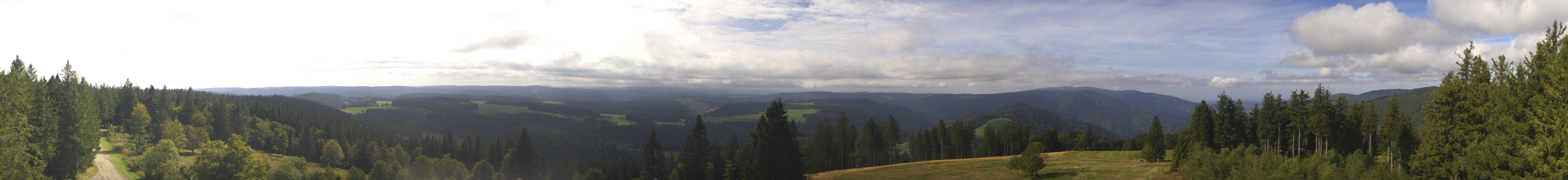 Archiv Foto Webcam Schwarzwald - Brendturm