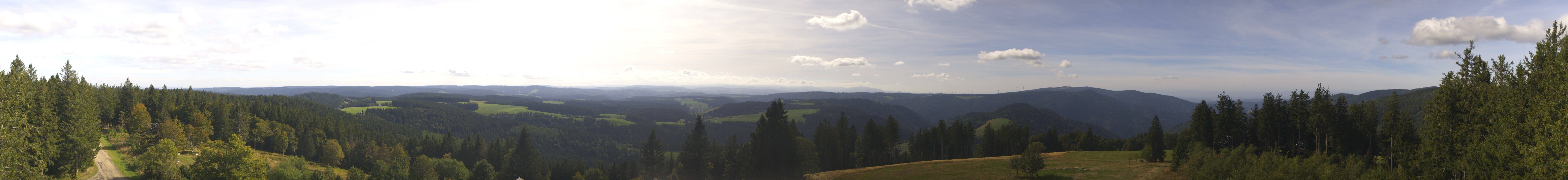 Archiv Foto Webcam Schwarzwald - Brendturm