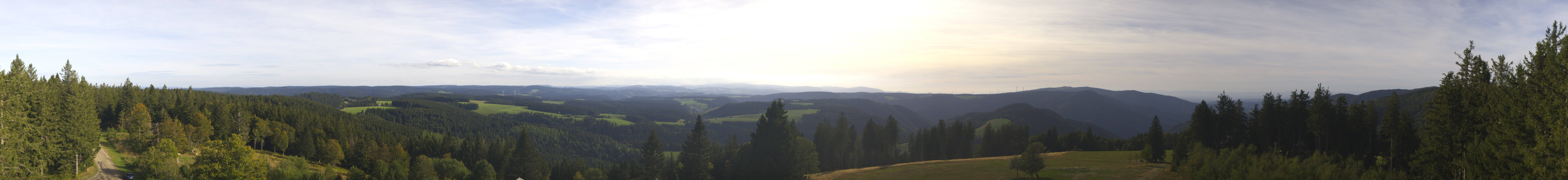 Archiv Foto Webcam Schwarzwald - Brendturm