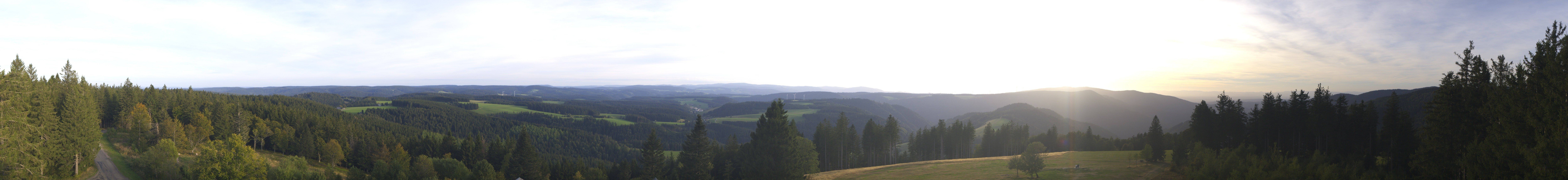 Archiv Foto Webcam Schwarzwald - Brendturm