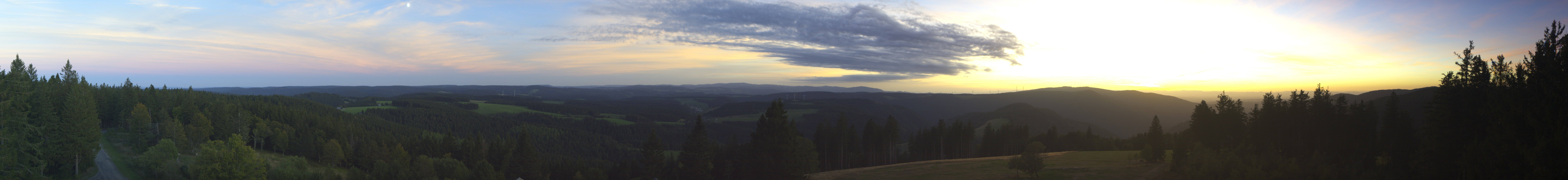 Archiv Foto Webcam Schwarzwald - Brendturm