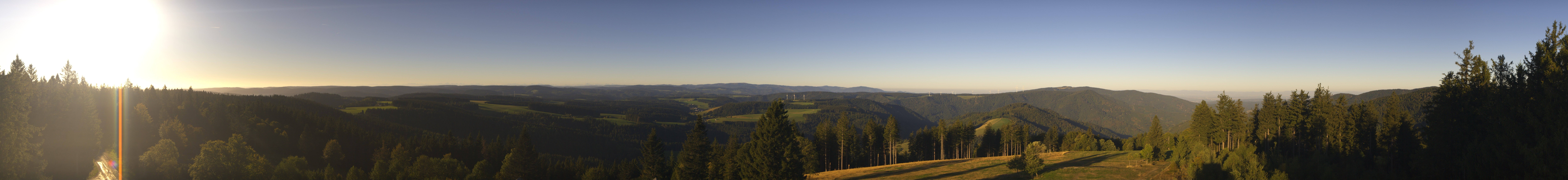 Archiv Foto Webcam Schwarzwald - Brendturm