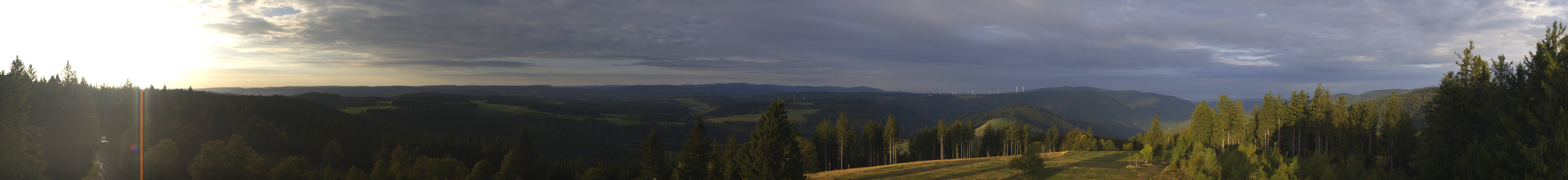 Archiv Foto Webcam Schwarzwald - Brendturm