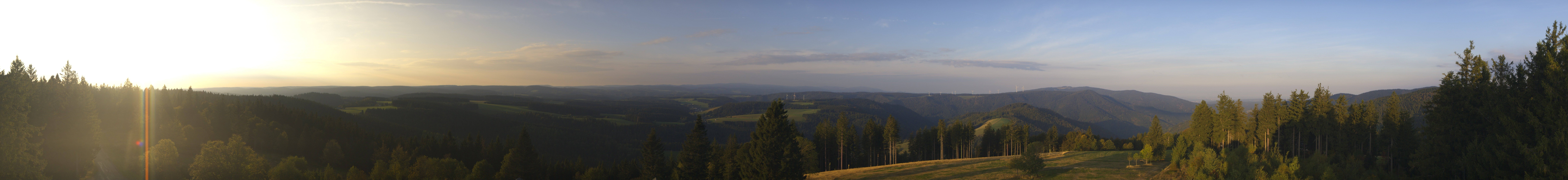 Archiv Foto Webcam Schwarzwald - Brendturm