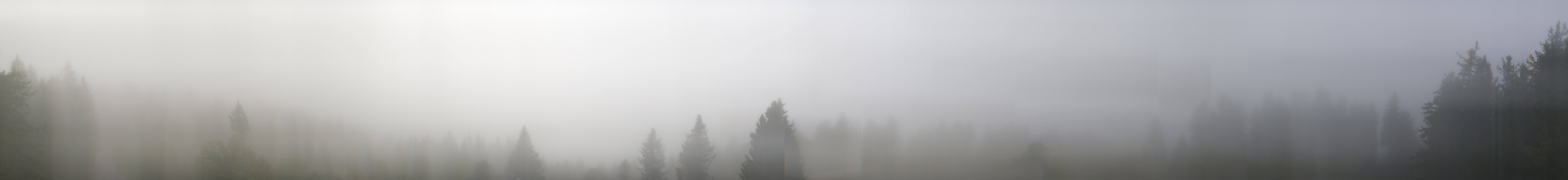 Archived image Webcam Black Forest - Brend Tower
