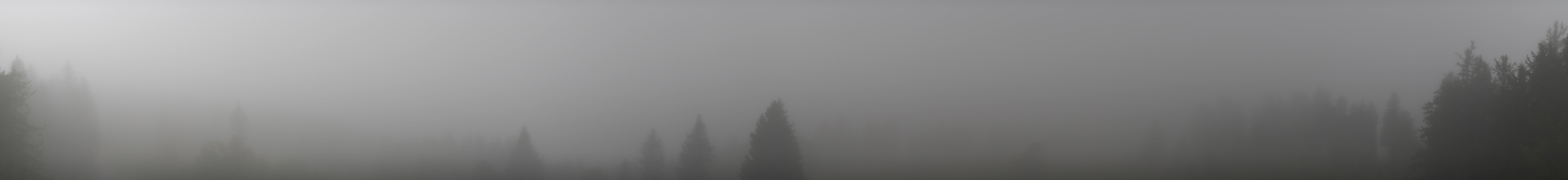 Archived image Webcam Black Forest - Brend Tower