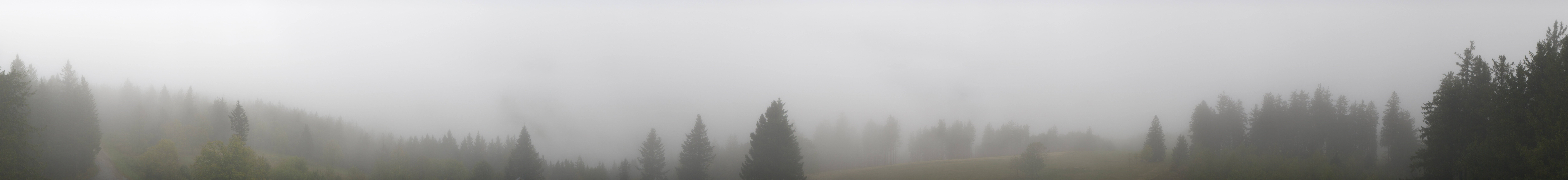 Archived image Webcam Black Forest - Brend Tower