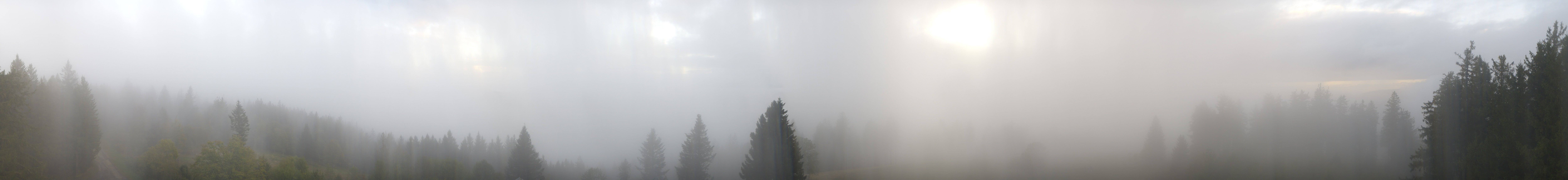 Archived image Webcam Black Forest - Brend Tower