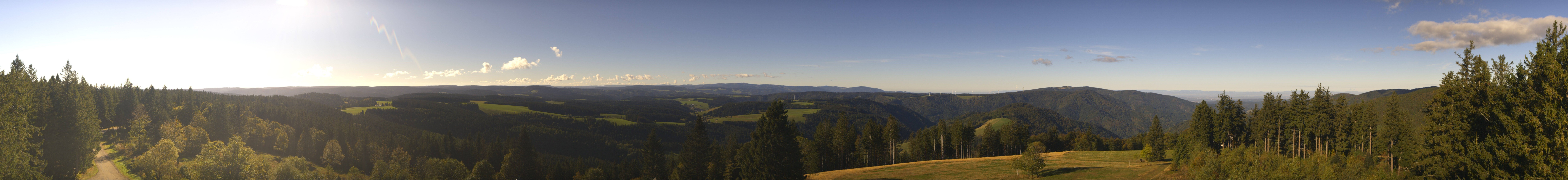Archiv Foto Webcam Schwarzwald - Brendturm