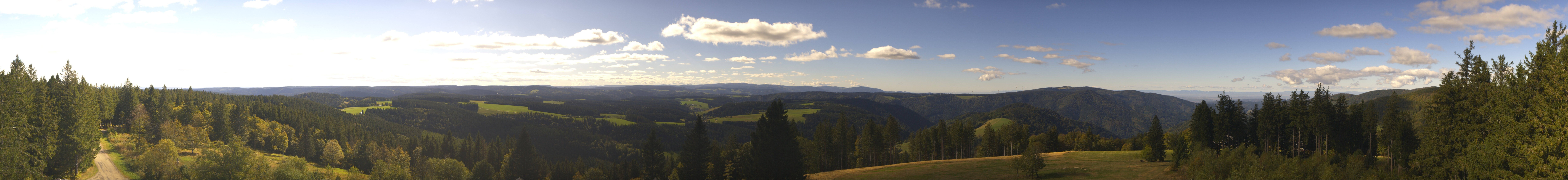 Archiv Foto Webcam Schwarzwald - Brendturm