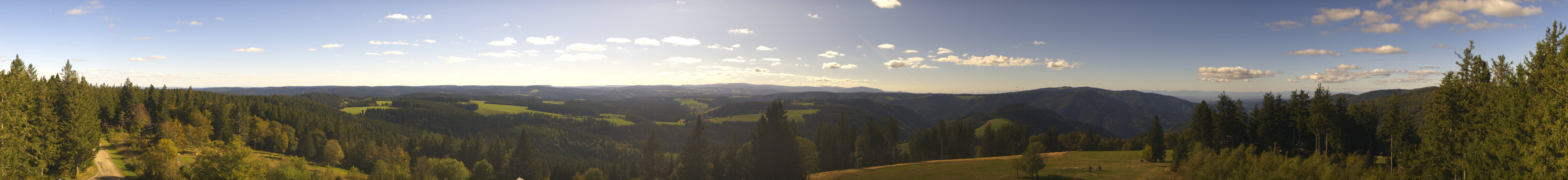 Archiv Foto Webcam Schwarzwald - Brendturm