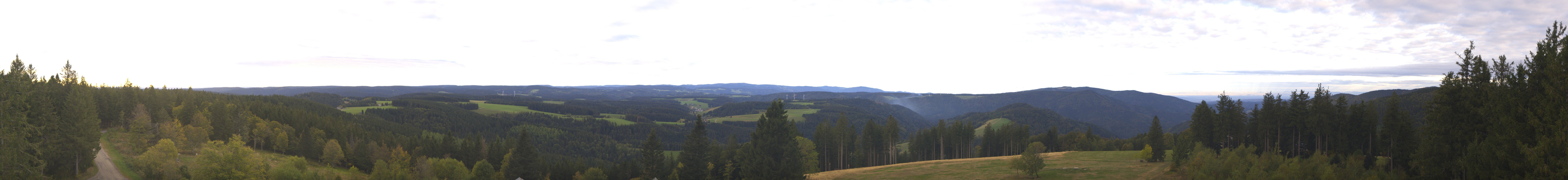 Archiv Foto Webcam Schwarzwald - Brendturm
