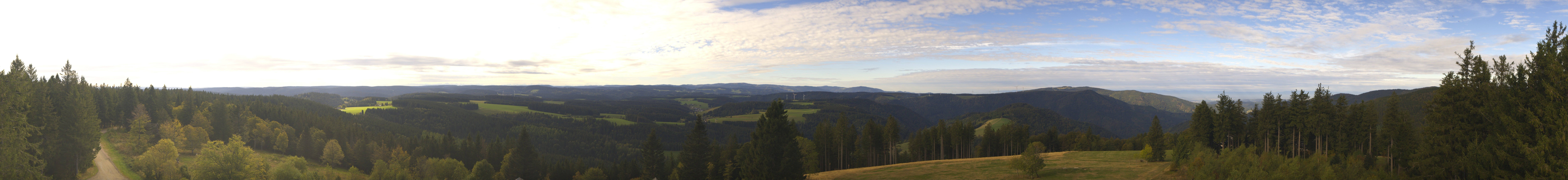 Archiv Foto Webcam Schwarzwald - Brendturm