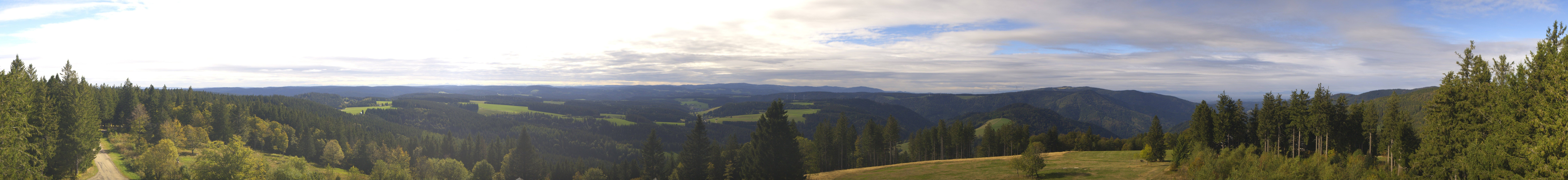 Archiv Foto Webcam Schwarzwald - Brendturm