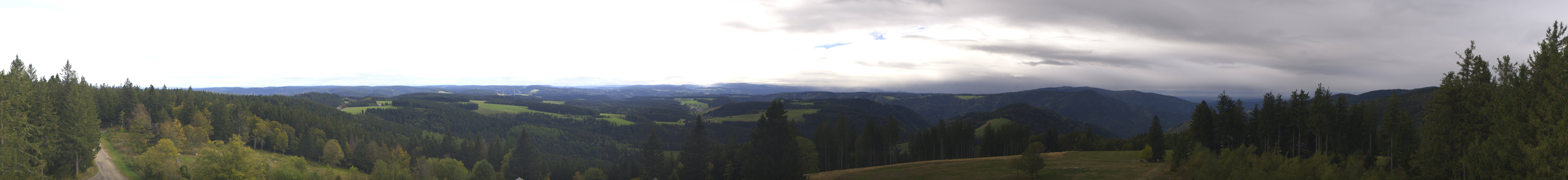 Archiv Foto Webcam Schwarzwald - Brendturm