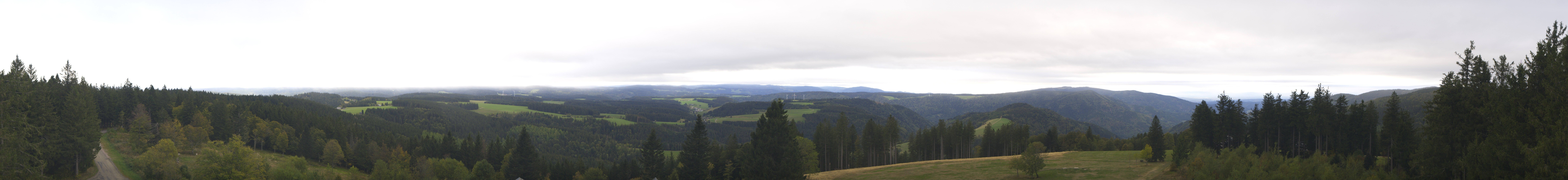 Archiv Foto Webcam Schwarzwald - Brendturm