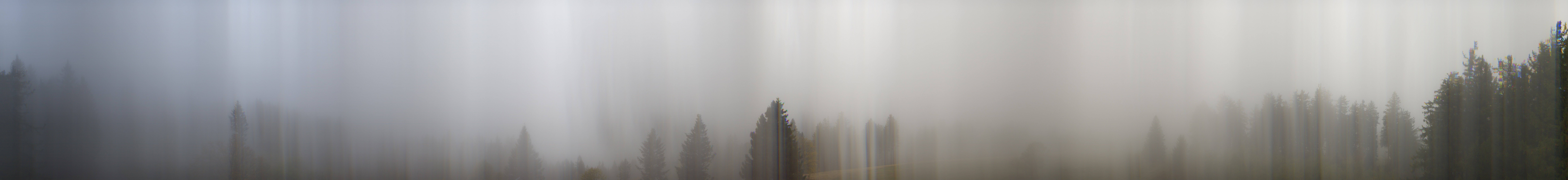 Archived image Webcam Black Forest - Brend Tower