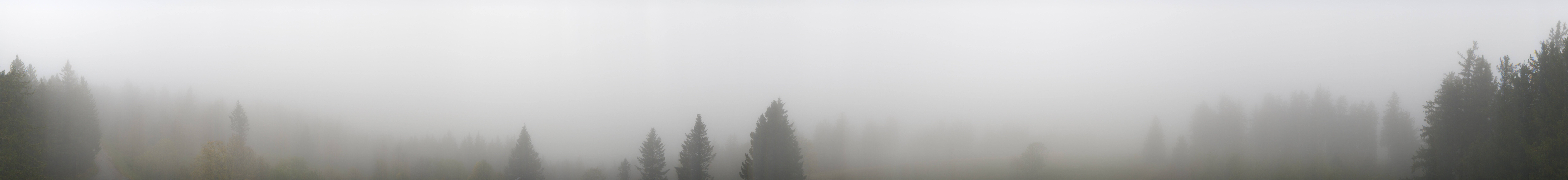 Archived image Webcam Black Forest - Brend Tower