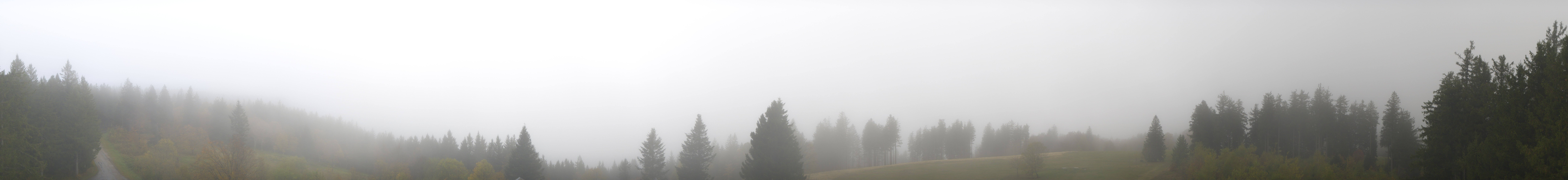 Archiv Foto Webcam Schwarzwald - Brendturm